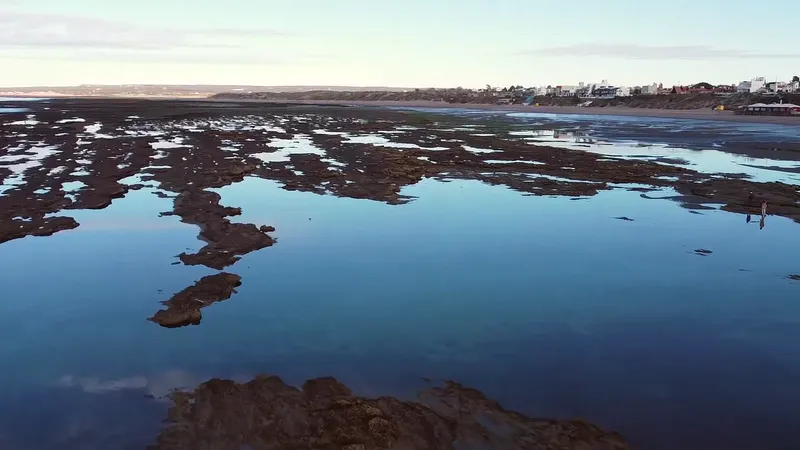 Piletones de agua quieta entre las rocas de la restinga, con el balneario al fondo